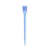 Sample Tips, 300 uL, Blue
